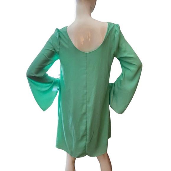 Pinkblush Bell Sleeves Dress - Picture 4 of 7